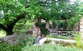 The Black Cottage